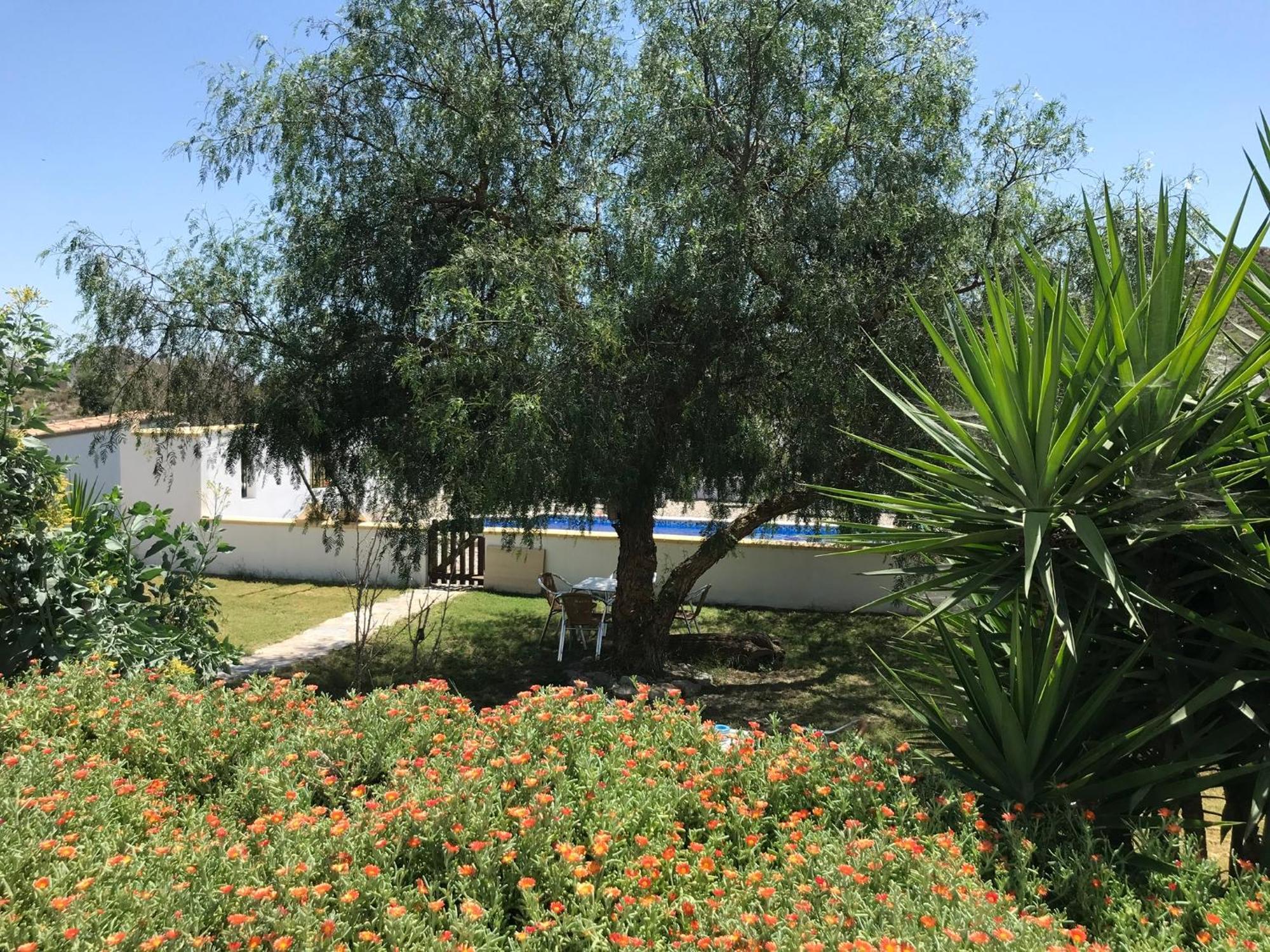 Bella Vista Rural Retreat Apartment Arboleas Ngoại thất bức ảnh